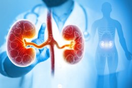 Teraźniejszość i przyszłość w diagnostyce i leczeniu chorób nerek