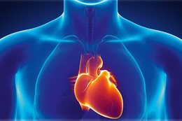 Płuca i serce - idealny tandem? Spojrzenie fizjologa