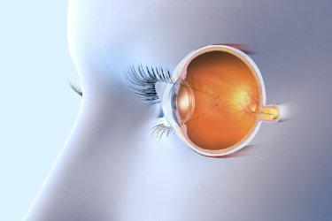 Sekrety składników wspierających wzrok: od A (aronia) do Z (zeaksantyna)