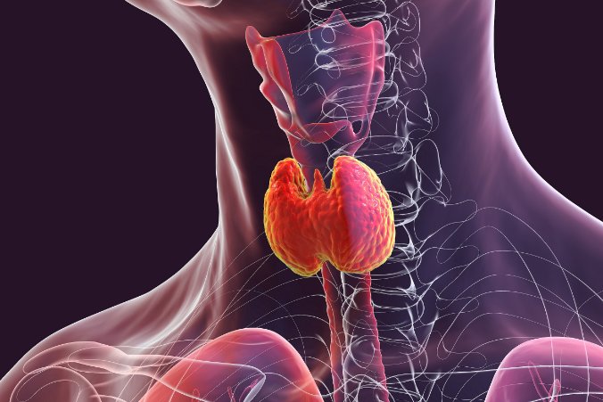 Zaburzenia funkcji tarczycy w gabinecie lekarza POZ