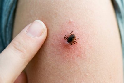 Czy mroźna zima będzie oznaczać mniej kleszczy latem? Ekspertka odpowiada