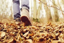3 tys. kroków dziennie może spowolnić alzheimera
