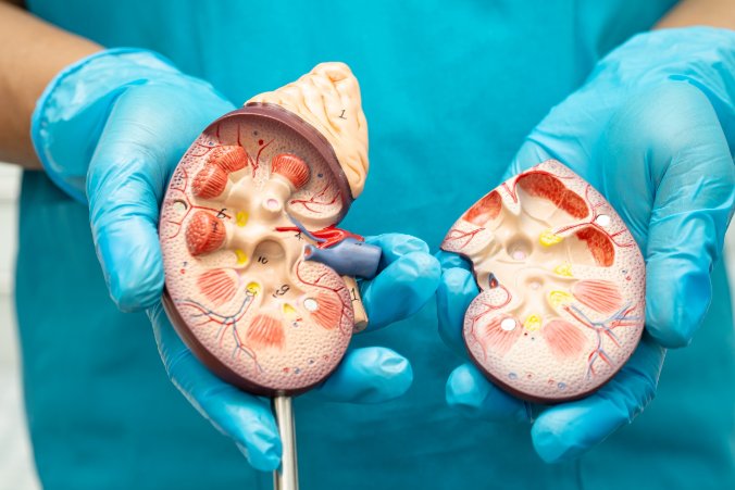 Prosta metoda może umożliwić wczesne wykrywanie i zapobieganie przewlekłej chorobie nerek