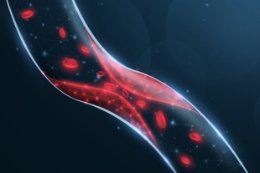 Wytyczne Polskiego Towarzystwa Lipidologicznego na temat Diagnostyki i Leczenia Zaburzeń Lipidowych w Polsce 2026