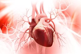 Niewydolność serca - epidemiologia i etiologia